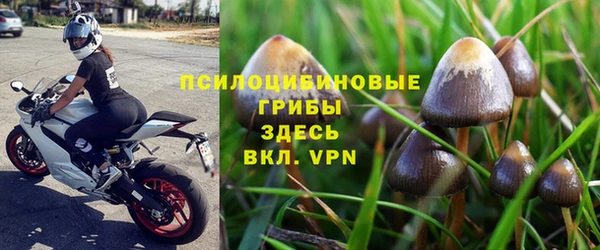 трава Ростов