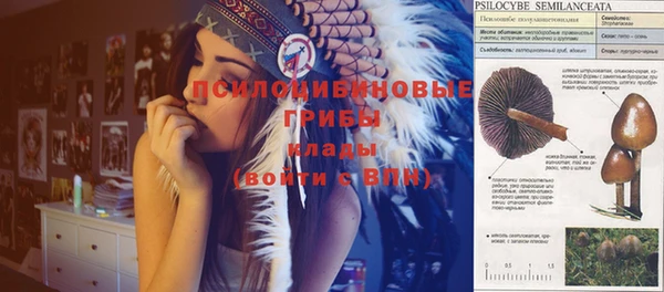 трава Ростов