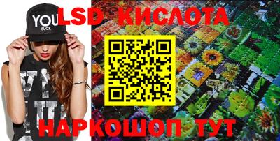 крисы Беслан