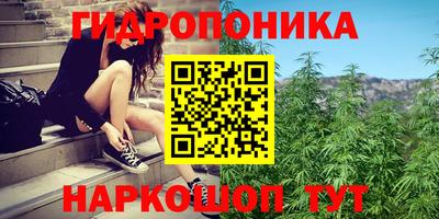 хмурый Бийск