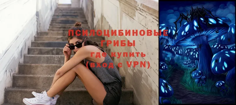 Псилоцибиновые грибы мицелий  МЕГА   Великий Устюг 