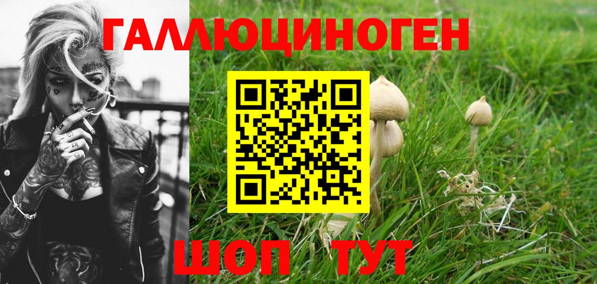 Великий Устюг  Псилоцибиновые грибы мухоморы  Псилоцибиновые грибы Psilocybe  Вход с VPN 