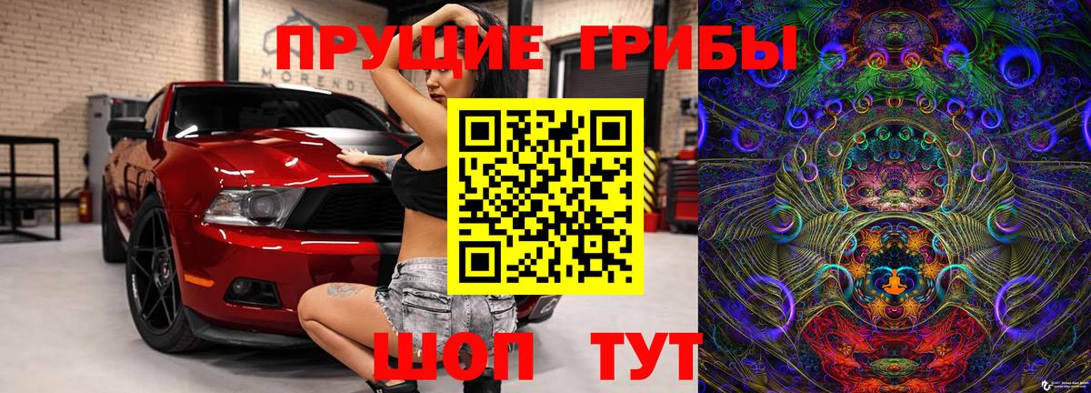 Галлюциногенные грибы Cubensis Великий Устюг