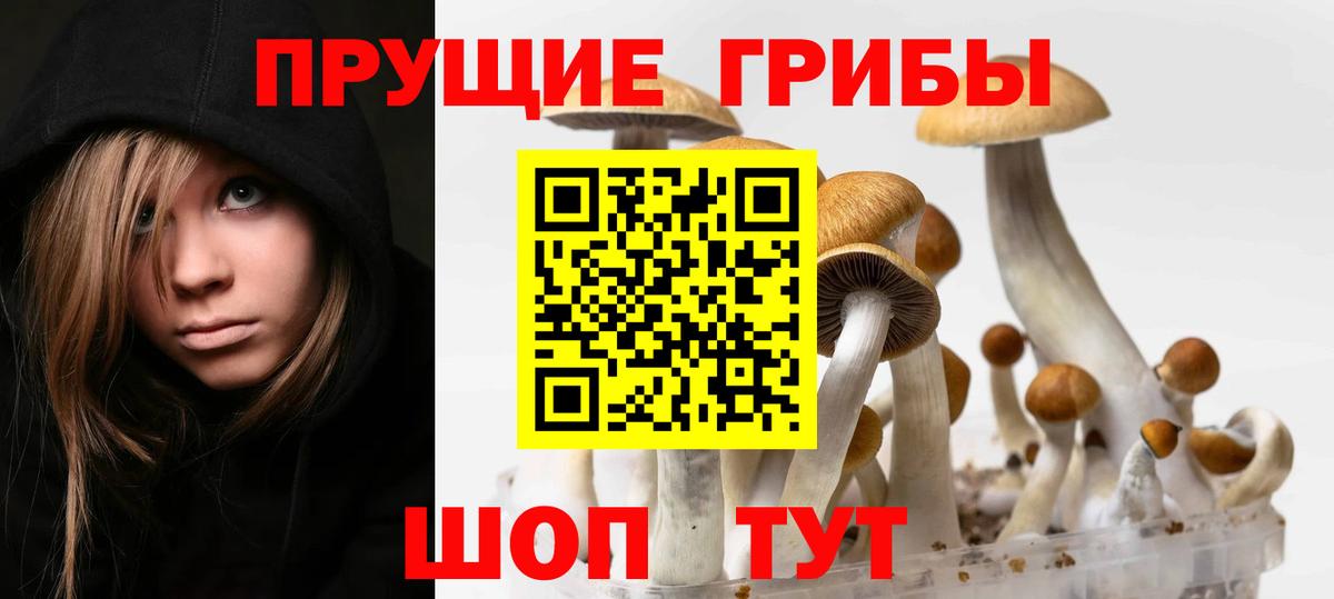 Галлюциногенные грибы мухоморы Великий Устюг